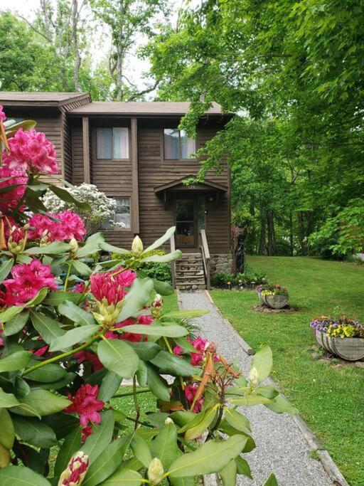 Vila J.Creek Retreat, Creekside Townhouse +1 Car Garage Maggie Valley Exteriér fotografie