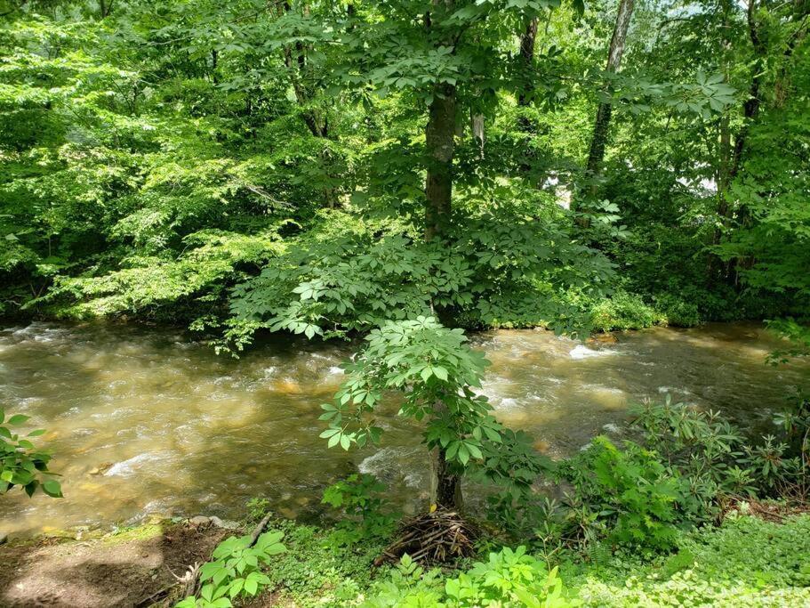 Vila J.Creek Retreat, Creekside Townhouse +1 Car Garage Maggie Valley Exteriér fotografie
